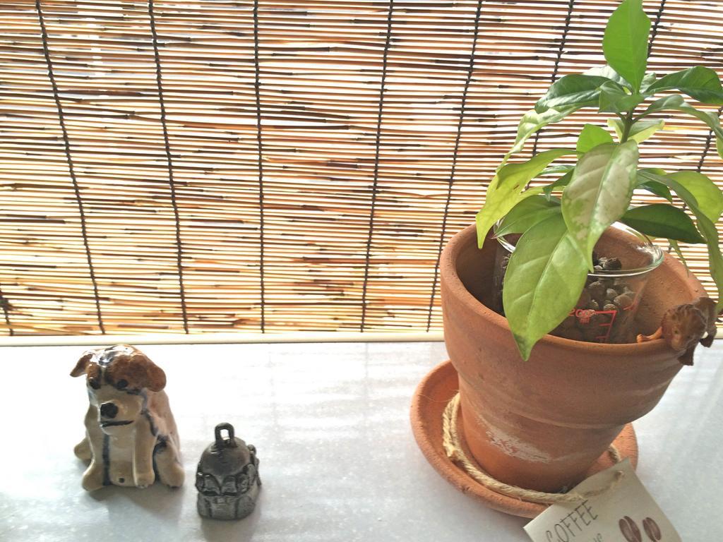 Guesthouse Oasis Osaka Bagian luar foto